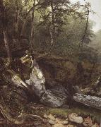 Asher Brown Durand Study from Nature rocks and trees in the Catskills china oil painting reproduction